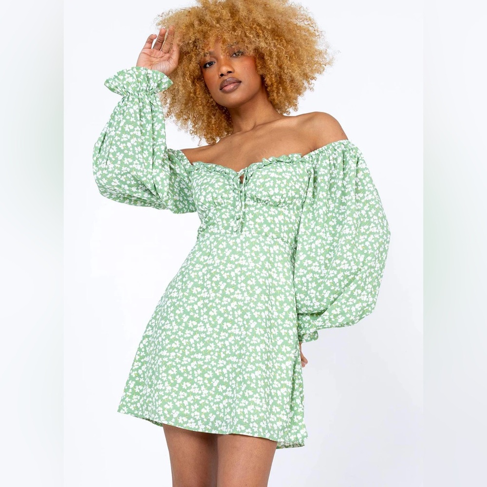 Princess Polly love birds long sleeve green floral Dress